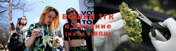 гашик Алексеевка
