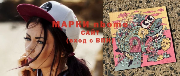 гашик Алексеевка