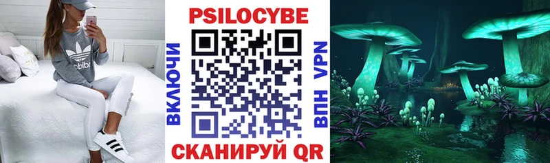 наркота  Алексеевка  KRAKEN ссылка  Галлюциногенные грибы ЛСД 